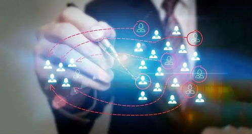 拓立奧園 四大服務部門助力互聯網廣告業務騰飛