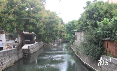 水氣環(huán)境持續(xù)向好 順德全面推進(jìn)'區(qū)域環(huán)評+環(huán)境標(biāo)準(zhǔn)'改革與技術(shù)服務(wù)創(chuàng)新